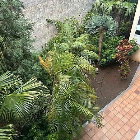 Apartament Tmaria Ponta do Sol  Zewnętrze zdjęcie
